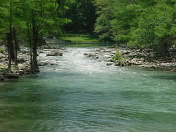 Whitewater on the Guadalupe River in Gruene, Texas